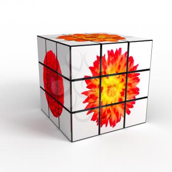 3d cube with photo over white background. computer generated image