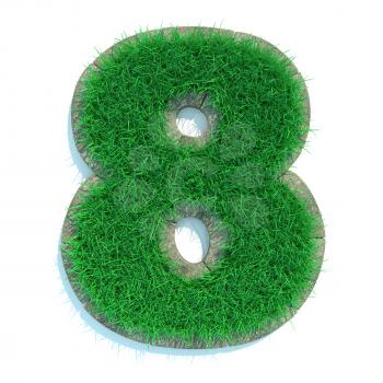 Beautiful Spring Numbers Made of Grass and Surrounded with  Border