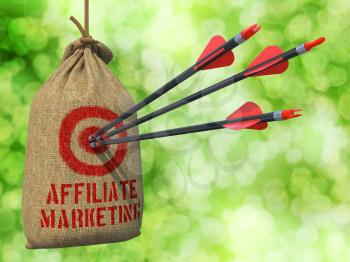 Affiliate Marketing - Three Arrows Hit in Red Target on a Hanging Sack on Green Bokeh Background.