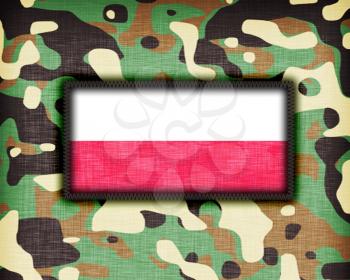 Amy camouflage uniform with flag on it, Poland