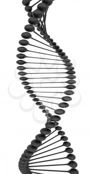 DNA structure model on a white background