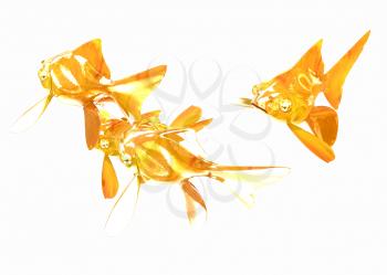 Gold fishes. Isolation on a white background