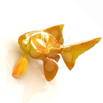 Gold fish on a white background