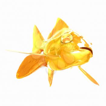 Gold fish. Isolation on a white background