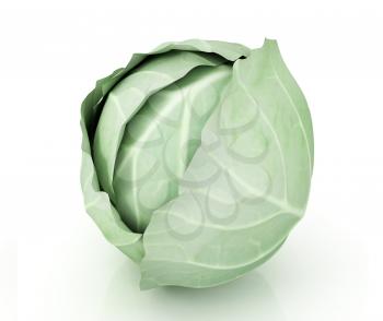 Green cabbage on a white background