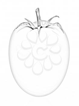 tomato on a white background