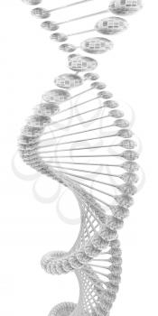 DNA structure model on a white background