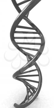 DNA structure model on white 