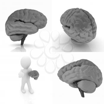 Colorfull human brain