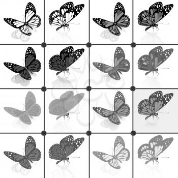 Butterflies botany set