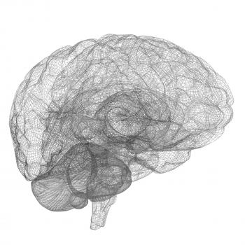 Creative concept of the human brain