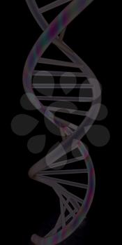 DNA structure model on white 