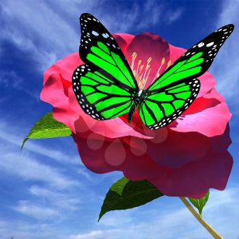 Beautiful Flower and butterfly against the sky 