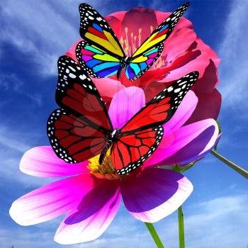 Beautiful Flower and butterfly against the sky 