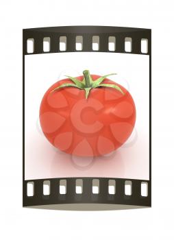 tomato on a white background. The film strip