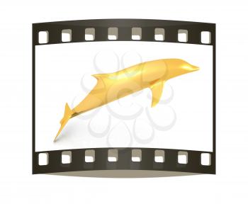 golden dolphin on a white background. The film strip