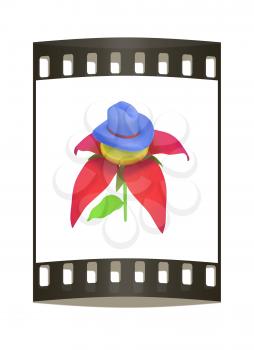 Blue hat on a fantastic flower iisolated on white background. 3d. The film strip