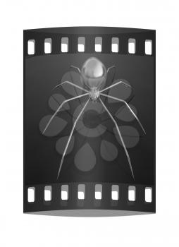 Chrome spider on a white background. The film strip