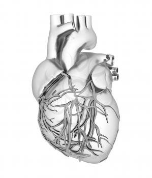 Human heart