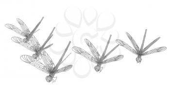 Dragonflies