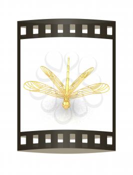 Dragonfly