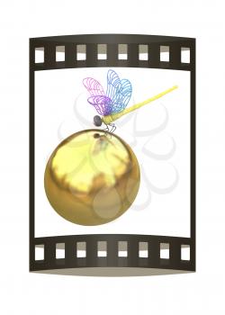 Dragonfly on abstract design sphere