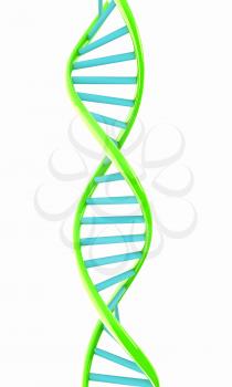 DNA structure model on white