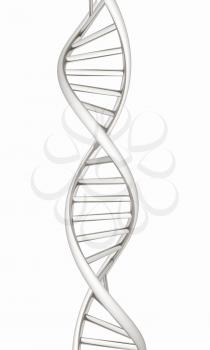 DNA structure model on white