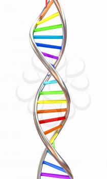 DNA structure model on white