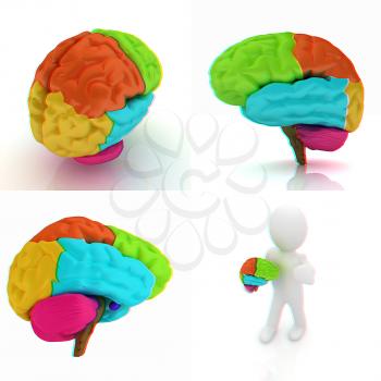 Colorfull human brain. 3D illustration. Anaglyph. View with red/cyan glasses to see in 3D.