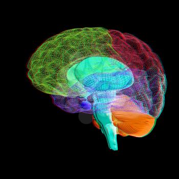 Creative concept of the human brain. 3D illustration. Anaglyph. View with red/cyan glasses to see in 3D.