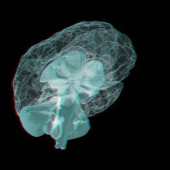 Creative concept of the human brain. 3D illustration. Anaglyph. View with red/cyan glasses to see in 3D.