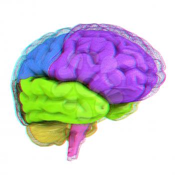 Creative concept of the human brain. 3D illustration. Anaglyph. View with red/cyan glasses to see in 3D.