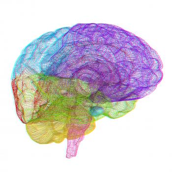 Creative concept of the human brain. 3D illustration. Anaglyph. View with red/cyan glasses to see in 3D.