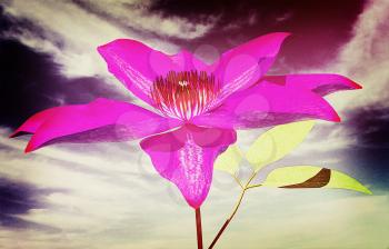 Beautiful Cosmos Flower against the sky. 3D illustration. Vintage style.