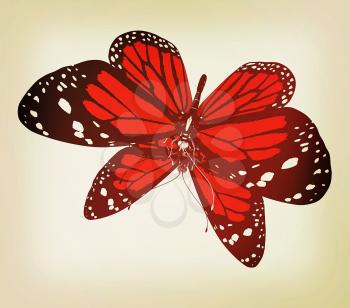 Butterfly on a white background. 3D illustration. Vintage style.