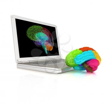 creative three-dimensional model of real human brain and scan on a digital laptop. 3d render