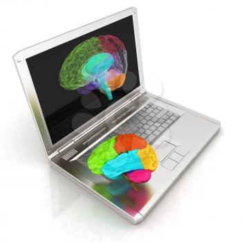 creative three-dimensional model of real human brain and scan on a digital laptop. 3d render