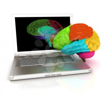 creative three-dimensional model of real human brain and scan on a digital laptop. 3d render