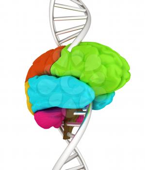 Brain and dna. 3d illustration