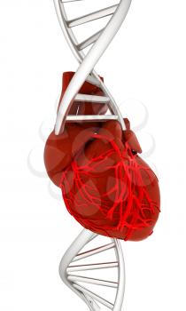 DNA and heart. 3d illustration