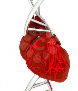 DNA and heart. 3d illustration