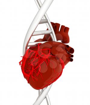 DNA and heart. 3d illustration