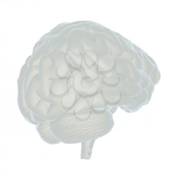 3D illustration of human brain