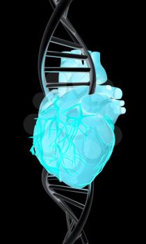 DNA and heart. 3d illustration