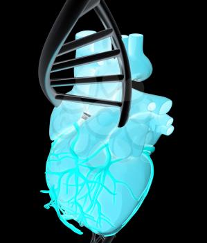 DNA and heart. 3d illustration