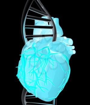 DNA and heart. 3d illustration