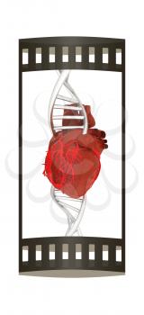 DNA and heart. 3d illustration. The film strip