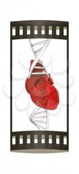 DNA and heart. 3d illustration. The film strip