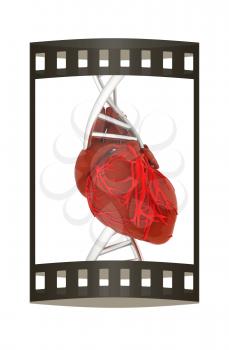 DNA and heart. 3d illustration. The film strip